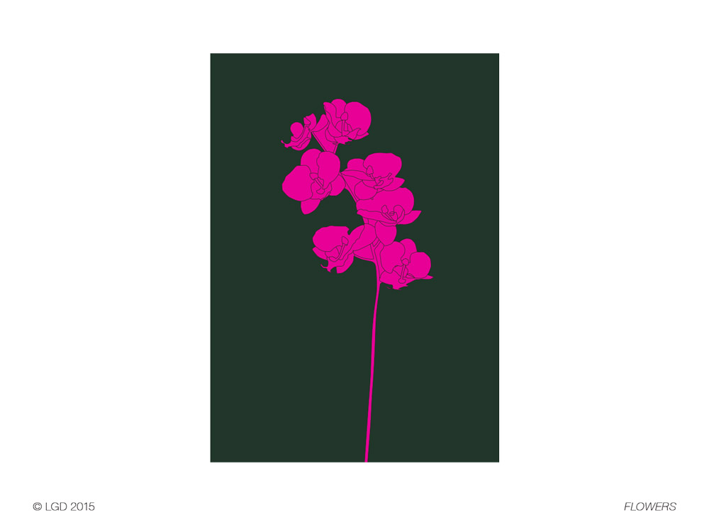 Lorenzo Gaetani Design - Flowers