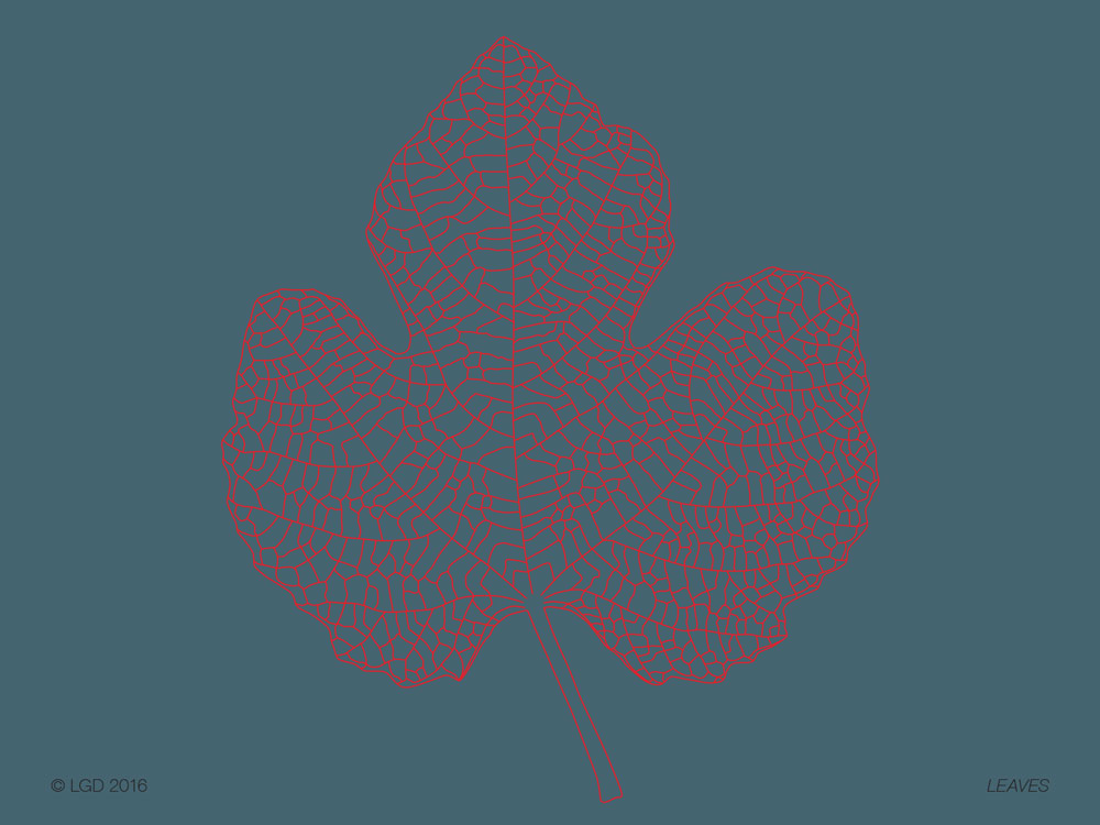 Lorenzo Gaetani Design - Leaves