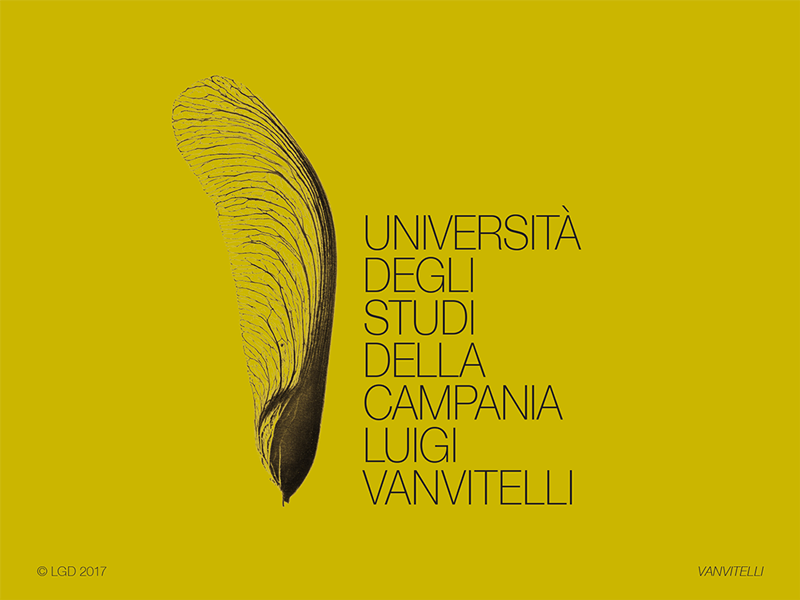 LORENZO GAETANI DESIGN Università degli studi della Campania Luigi Vanvitelli