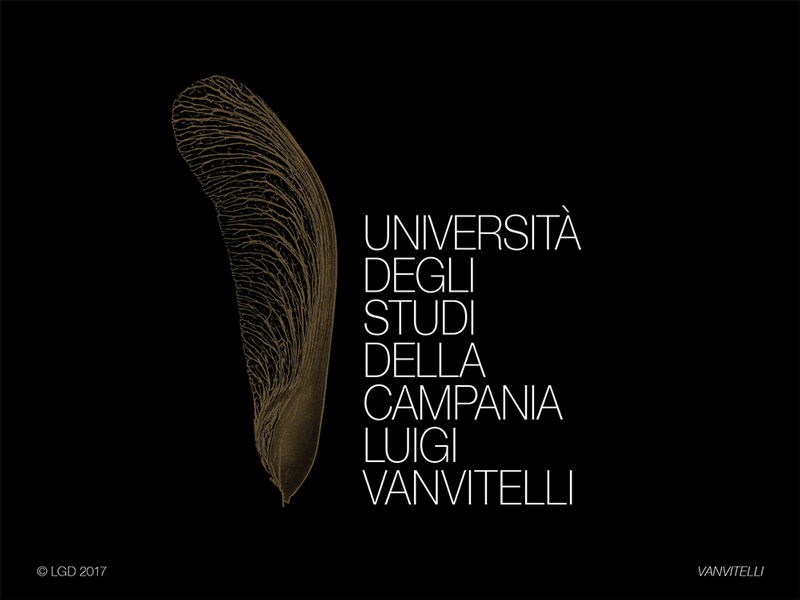 LORENZO GAETANI DESIGN Università degli studi della Campania Luigi Vanvitelli