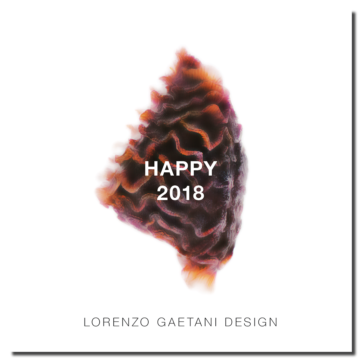 LGD_BUON ANNO 2018 LORENZO GAETANI DESIGN