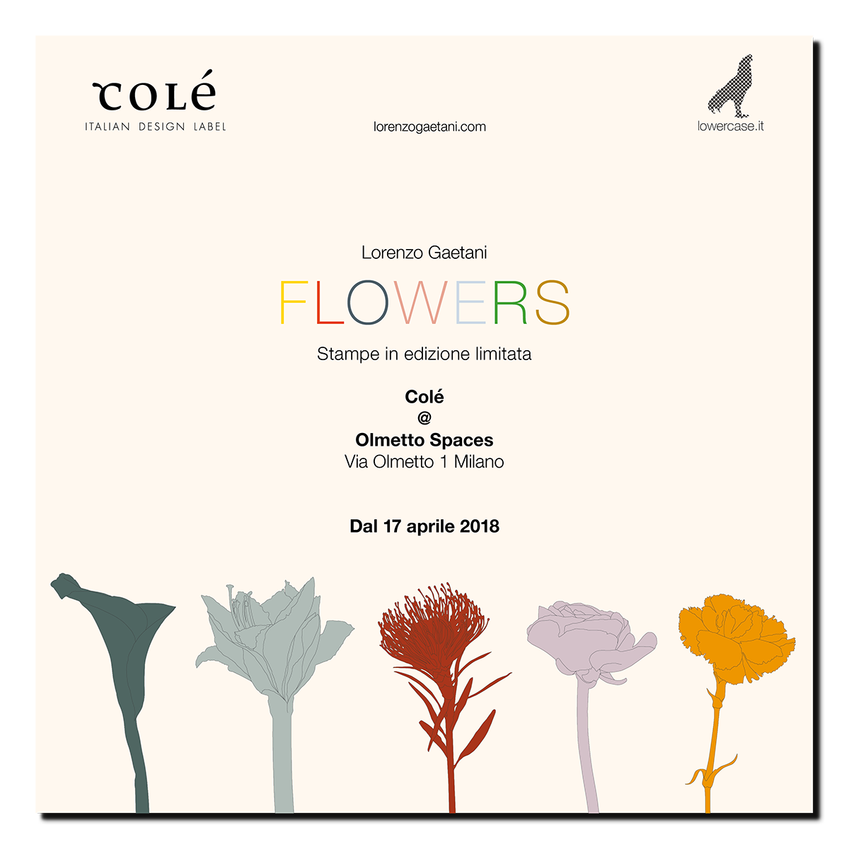 LORENZO GAETANI DESIGN FLOWERS esposizione grafica stampe