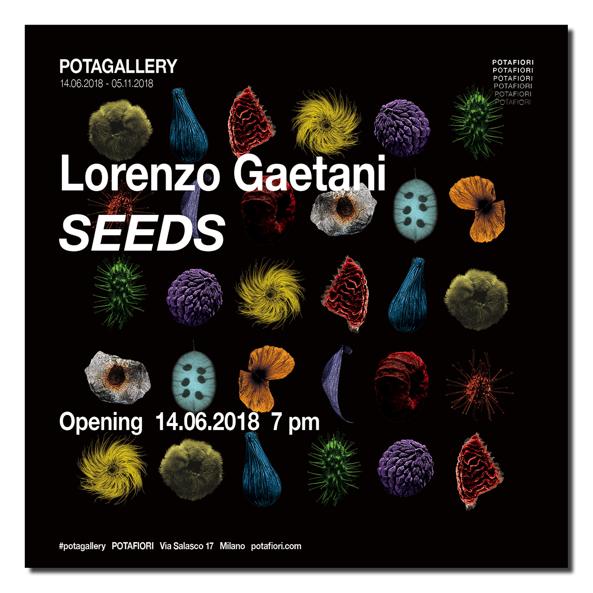 LORENZO GAETANI DESIGN SEEDS potagallery potafiori milano